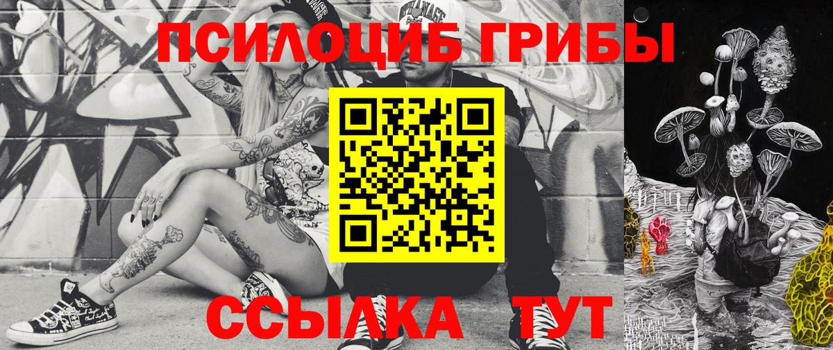 Галлюциногенные грибы Psilocybe Звенигород