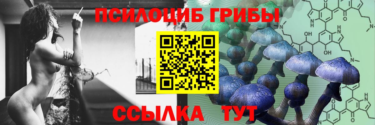Звенигород  Галлюциногенные грибы мицелий  Вход с VPN 